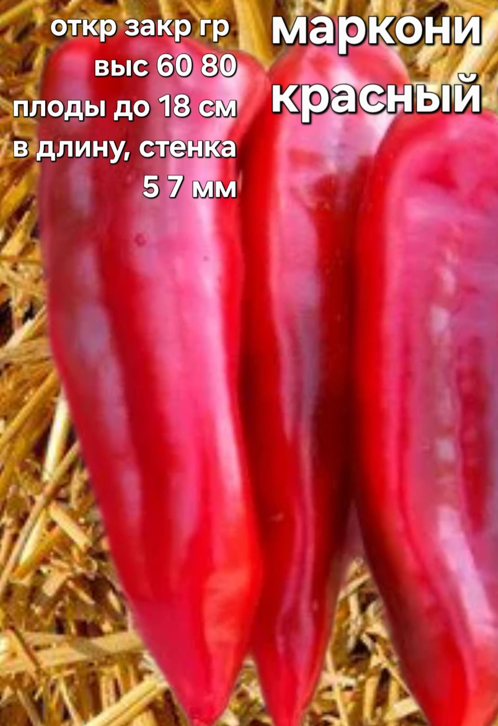 Маркони красный