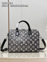 Louis Vuitton Speedy 25