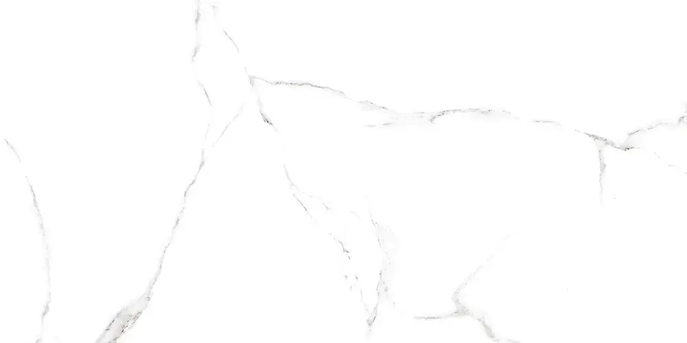 Керамогранит Alma Ceramica GFA114MRG00P Mirage 114x57 белый полированный под мрамор