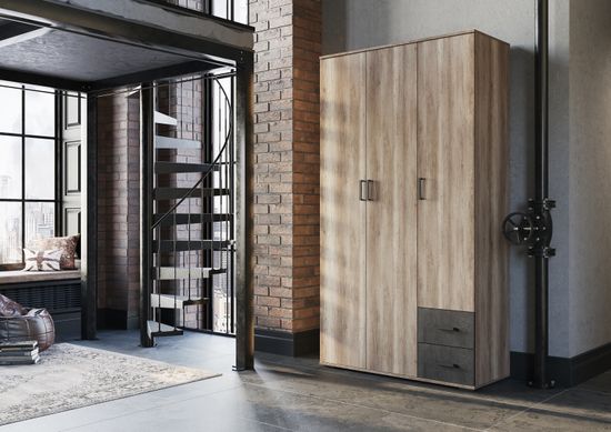 НЕЛЬСОН ШК 01 ШкафФасад ЖЕЛЕЗНЫЙ КАМЕНЬ/Корпус ДУБ КАНЬОН