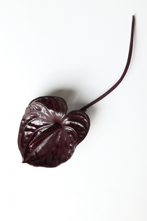 Брошь BIG BROOCH Антуриум бордо