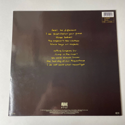Винтажная виниловая пластинка LP Sinead O'Connor I Do Not Want What I Haven't Got (Germany 1990)