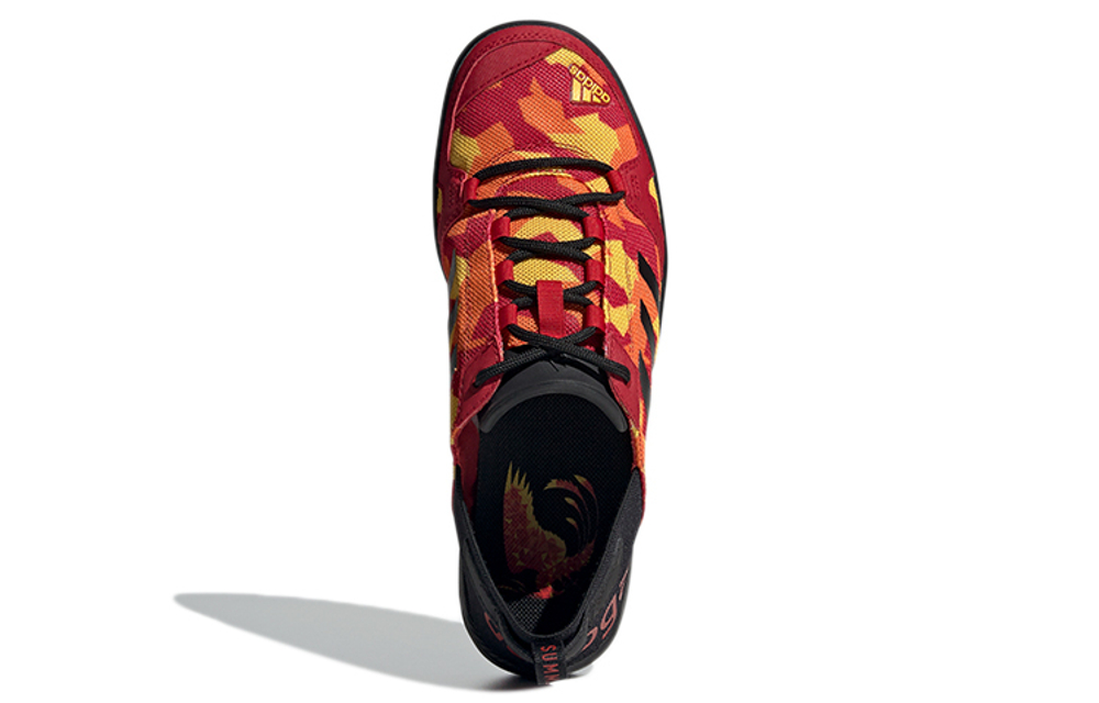 Кроссовки Adidas Terrex Daroga