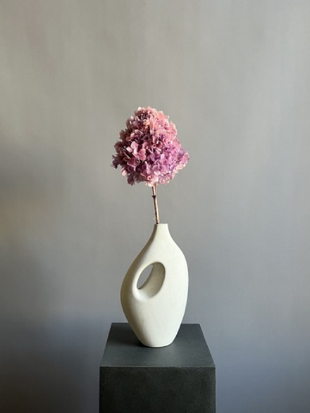 Гортензия стабилизированная сиреневый градиент крупнолистная