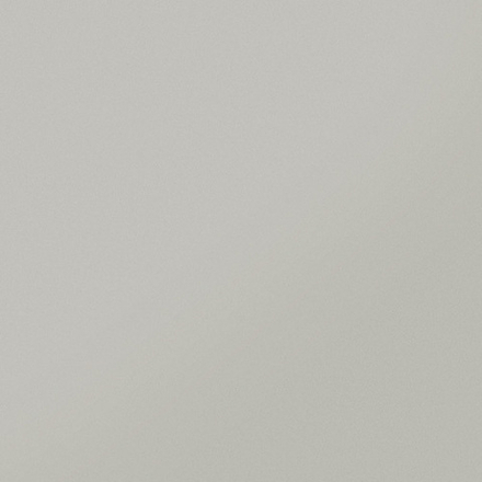 Керамика Будущего Моноколор CF UF-002 MR Светло-серый 60x60