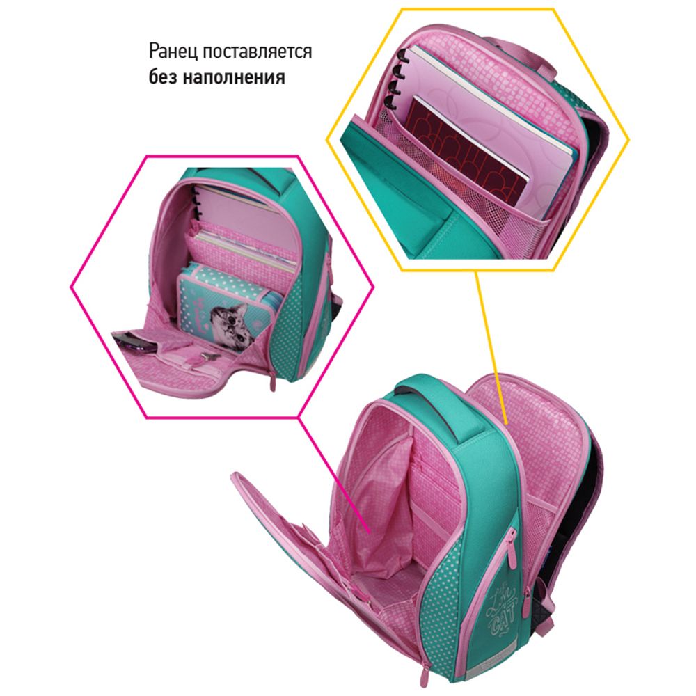 Ранец Berlingo Nova Curious cat 37х28х18см, 2 отдел., с анатомической спинкой