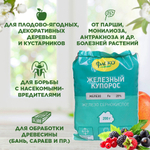 КУПОРОС ЖЕЛЕЗНЫЙ ФАСКО 200ГР