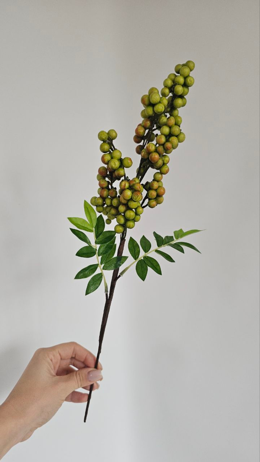 Ягоды / Арт 8042