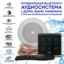 Комплект влагостойкой акустики для бани, сауны и хамама - SW 1 Black ECO(черный)