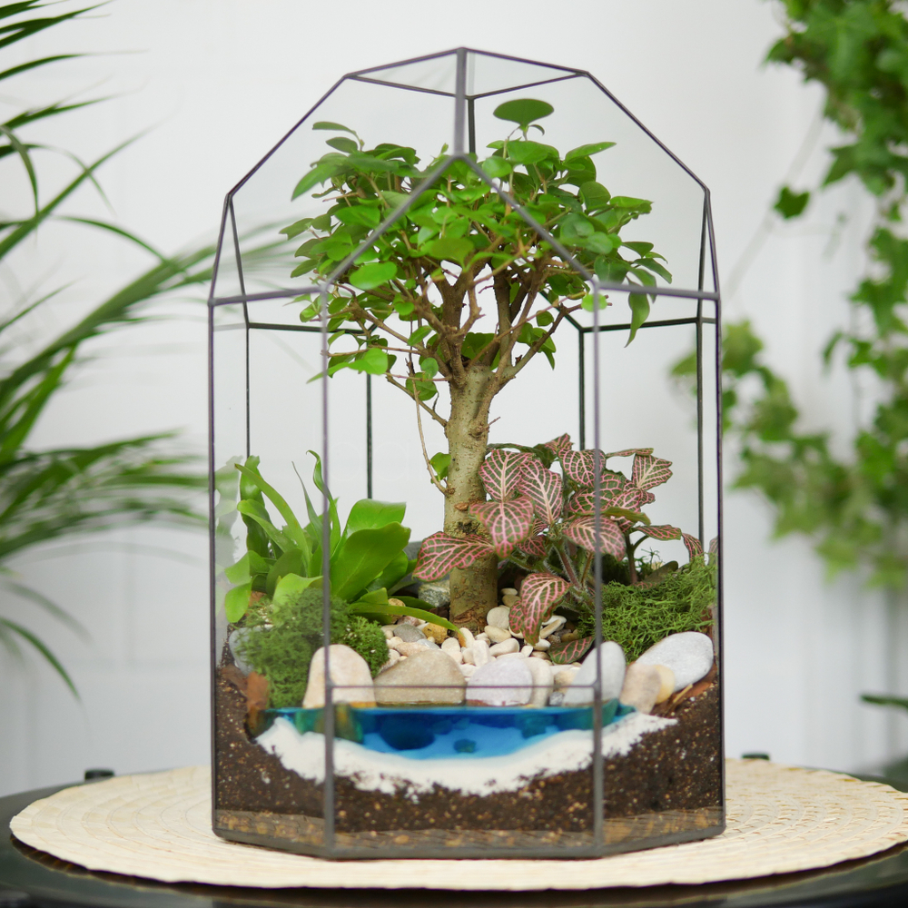 Готовый флорариум бонсай Лигуструм Бонсариум с озером