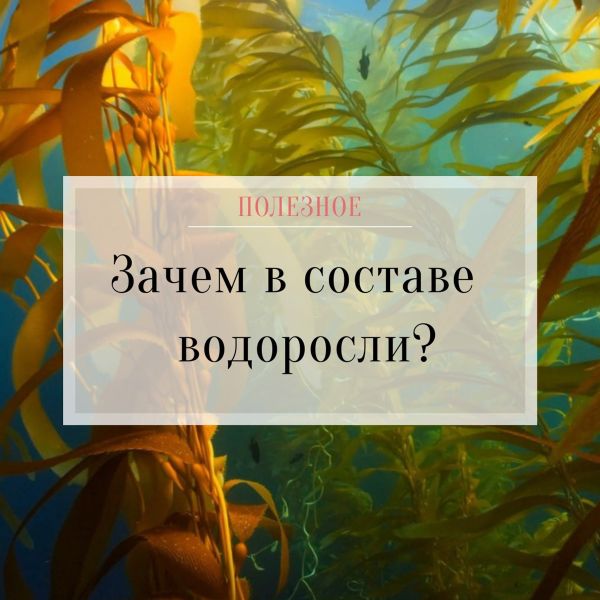 Зачем в составе водоросли?