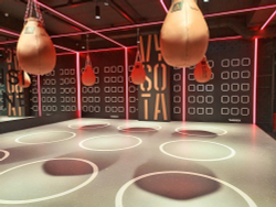 Боксерский груша TARGEX размер M серия STRATA