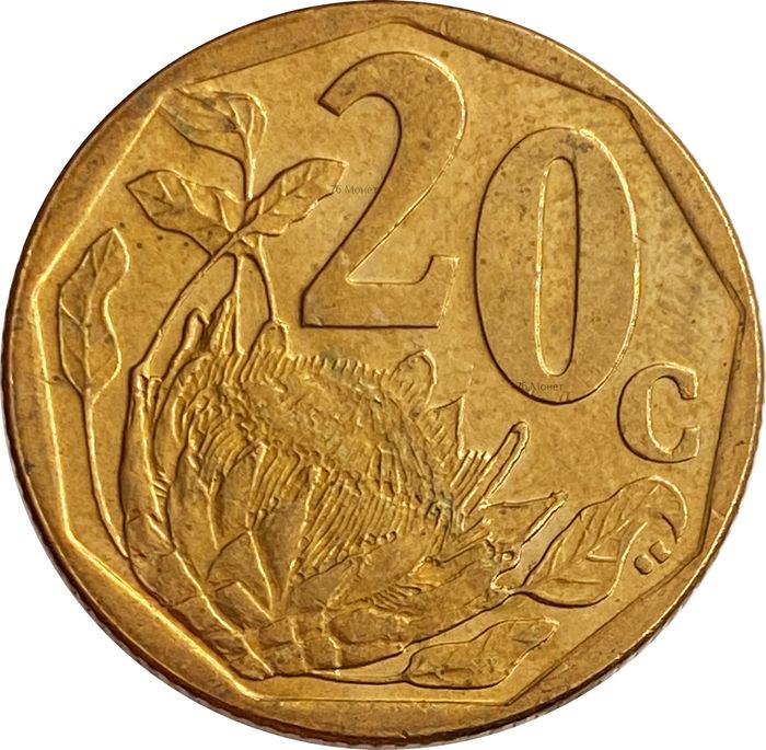 20 центов 2013 ЮАР