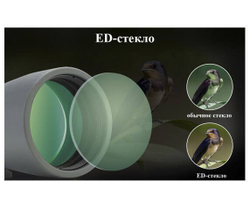 Зрительная труба SVBONY SV410 8–24x50 - фото 6