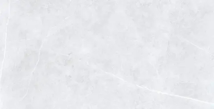 Usak Seramik Swindon Grey Polished 60x120