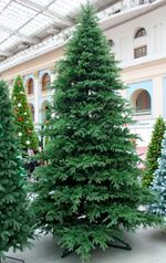 Большая елка «Виктория» ED (Литая хвоя) от 3 м до 6 м