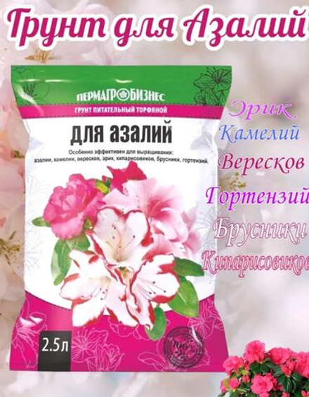 Грунт для Азалий и др растений  2,5л
