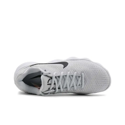 Мужские кроссовки Nike Hyperdunk 2017 Low 'Wolf Grey' 897637-100