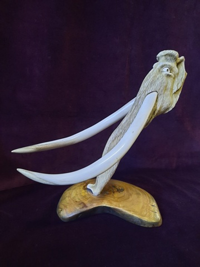 Композиция "Трогонтерий", рог лося, рог оленя