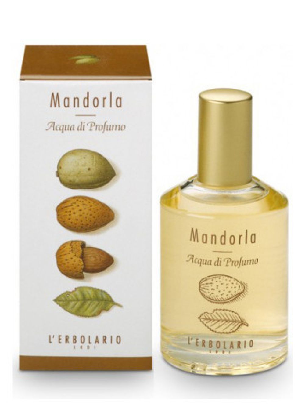 L'Erbolario Mandorla