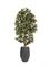 Комплект - Капенсия 150 см в кашпо TREEZ Effectory - Organic