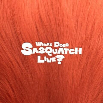 Альбом ZIOR PARK - WHERE DOES SASQUATCH LIVE?