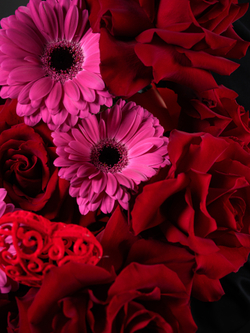 Ты в Сердце