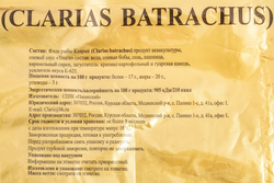 Кларий угревидный обжаренный зам. «Панинское» ~ 800 г