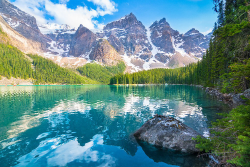 Бесшовные фотообои