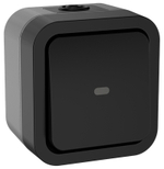 TORS Переключатель одноклавишный с индикацией 10А IP55 TS102 графит IEK