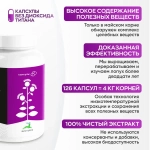 Экстракт корня лопуха Вистерра 500 мг, 126 капсул