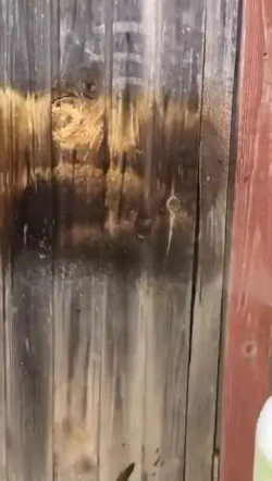 Отбеливатель "ЭкоМагУс" 10 кг.