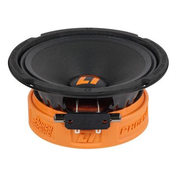 DL Audio Phoenix Punch Machine 165