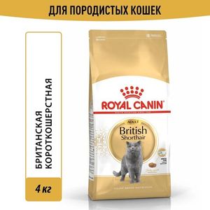 Корм для кошек, Royal Canin British Shorthair Adult, для кошек породы британская короткошерстная и породы шотландская вислоухая в возрасте от 1 года и старше