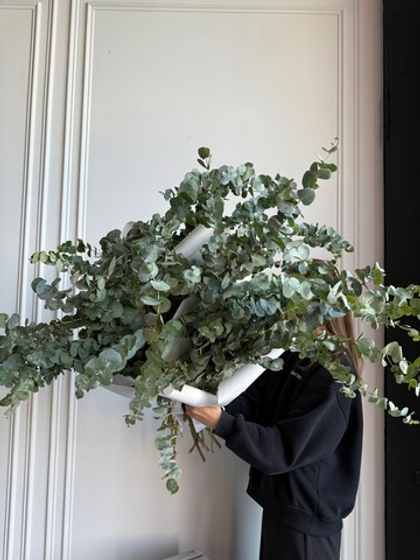 Охапка эвкалипта в зеленом оттенке 5 шт