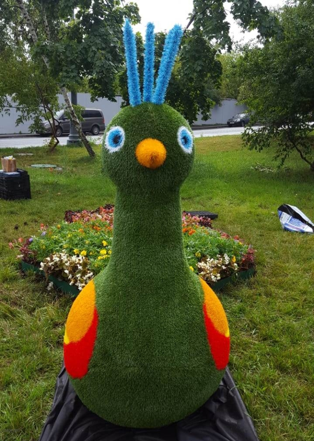 Топиарная фигура Павлин