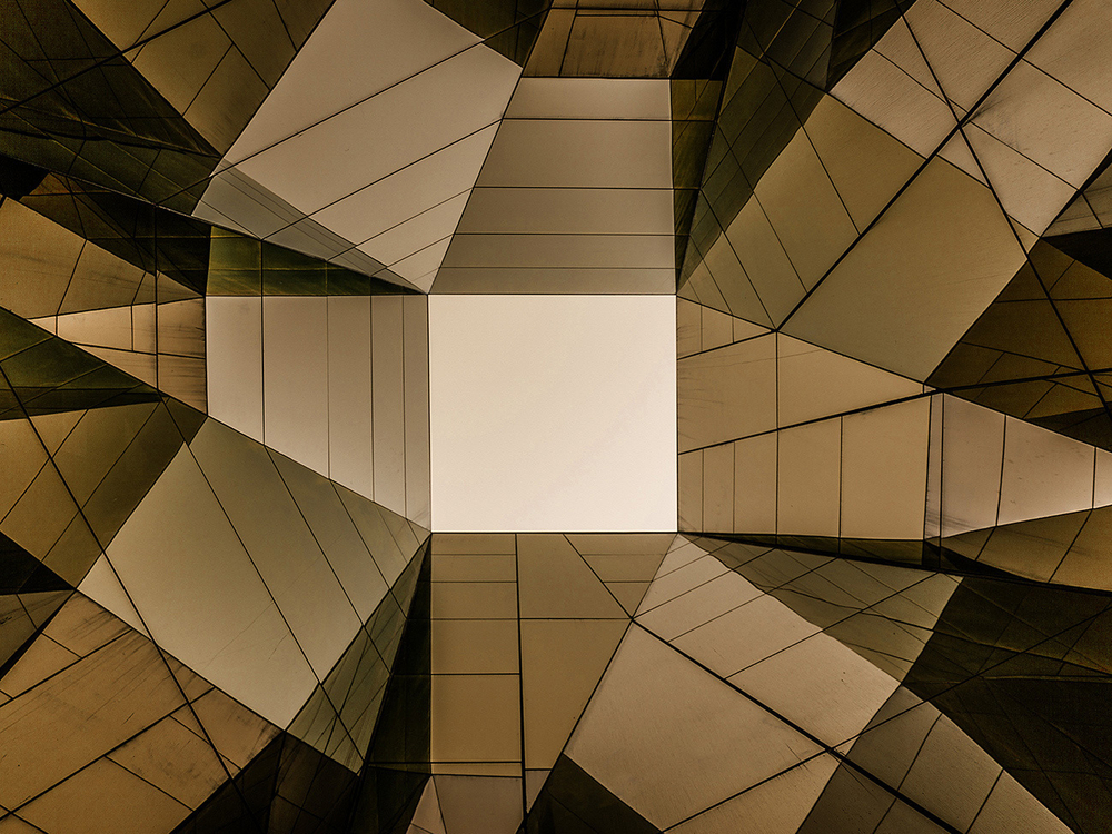 Дизайнерские обои Wall Street Bird see