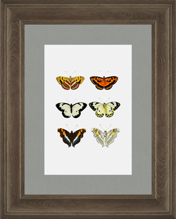 Картина 423 (X)