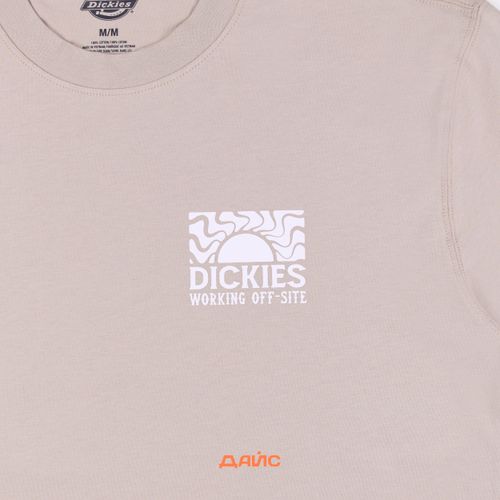 Футболка мужская Dickies Saltville Tee артикул:DK0A4YR9SS01 - купить в магазине Дайс