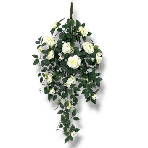 Роза ампельная белая