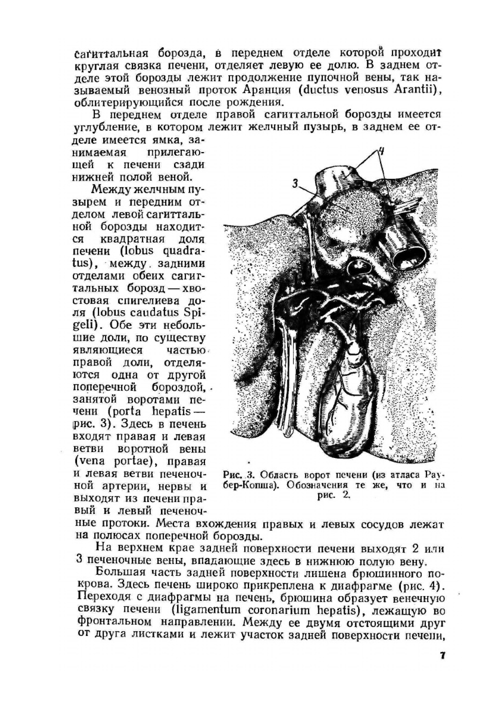 Хирургия желчного пузыря и желчных протоков | И.М. Тальман