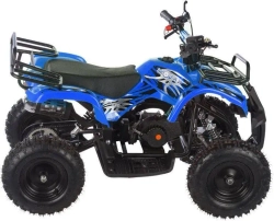 Квадроцикл MOTAX ATV Mini Grizlik X-16 (э/с)