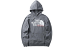 Худи THE NORTH FACE Logo, NF0A5JV6-DYY