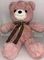 Yumşaq oyuncaq \ Мягкая игрушка \ Soft toys Ayı (bantik) (çəhrayı)