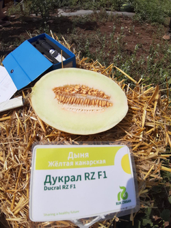 Дыня Дукрал F1 5шт ВитаГрин ЭКСТРА