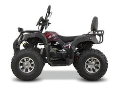 Квадроцикл GRIZZLY 200 Premium