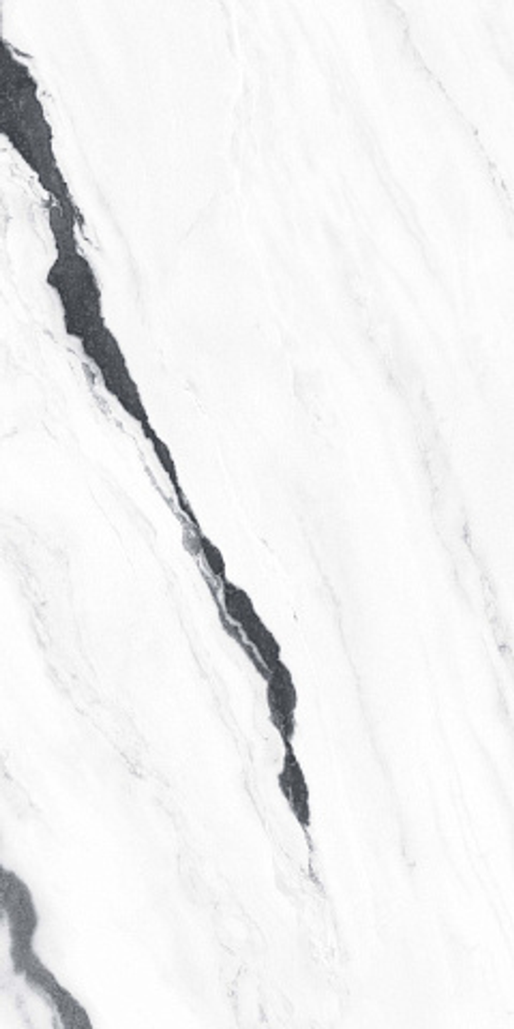 Керамогранит / 60х120 см ATLAS CONCORDE RUSSIA FORTE DEI MARMI / ФОРТЕ ДЕЙ МАРМИ Panda White Полумат. 610015000656