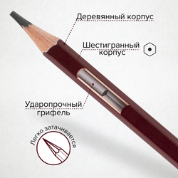 Карандаши чернографитные художественные 4H-8B, НАБОР 12 шт., В ПЕНАЛЕ, BRAUBERG ART "PREMIERE", 181895