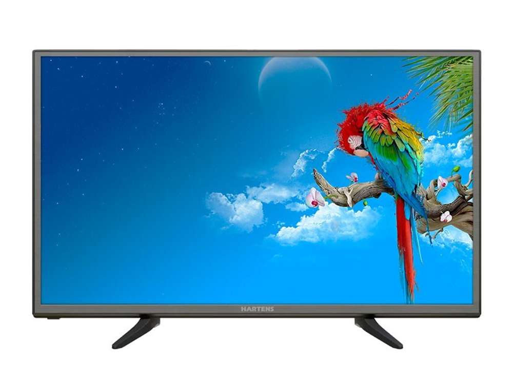 Телевизор 24" Hartens HT-24H06B-VZ