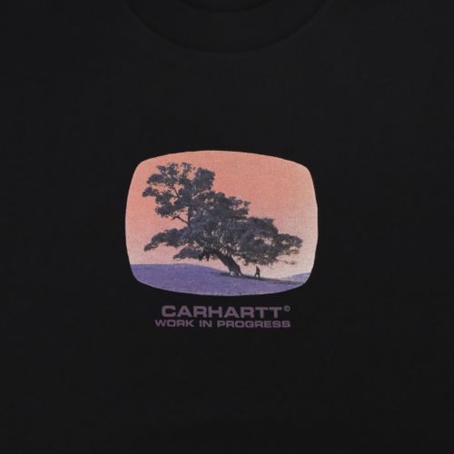 Футболка мужская Carhartt WIP Seeds артикул:I031028 - купить в магазине Дайс